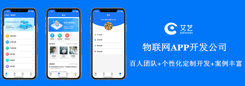 上海软件开发行业的现状与发展前景
